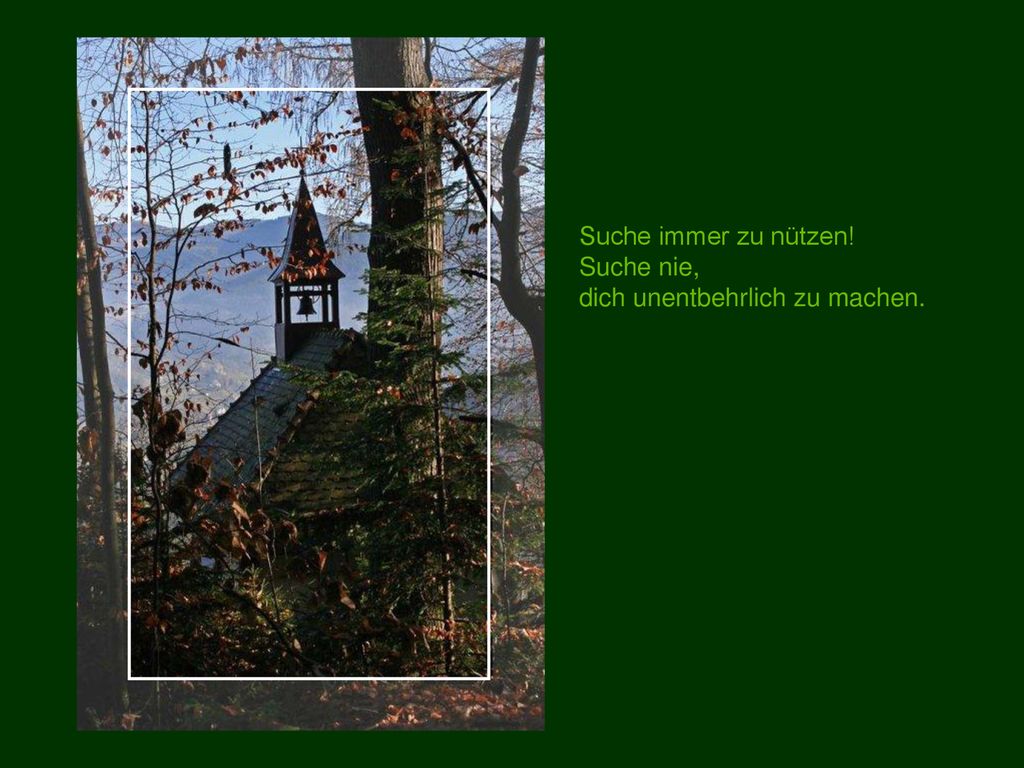 Suche immer zu nützen! Suche nie, dich unentbehrlich zu machen.