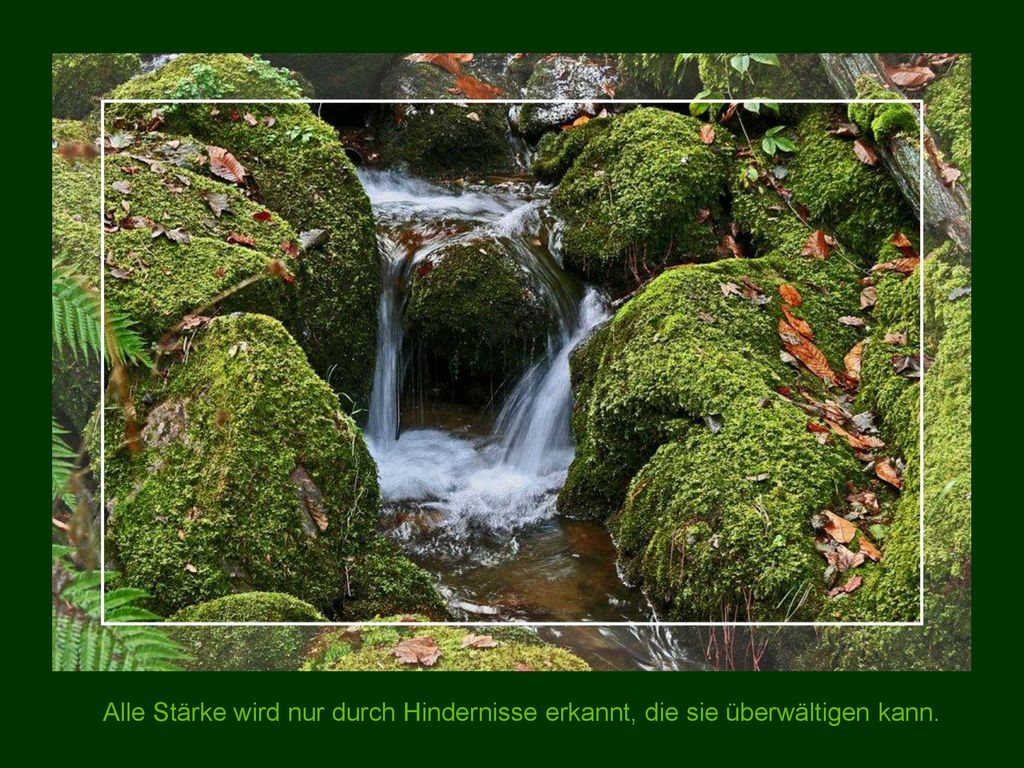 Alle Stärke wird nur durch Hindernisse erkannt, die sie überwältigen kann.