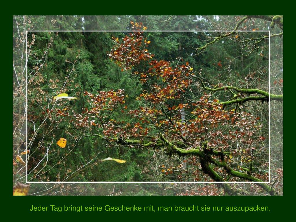 Jeder Tag bringt seine Geschenke mit, man braucht sie nur auszupacken.
