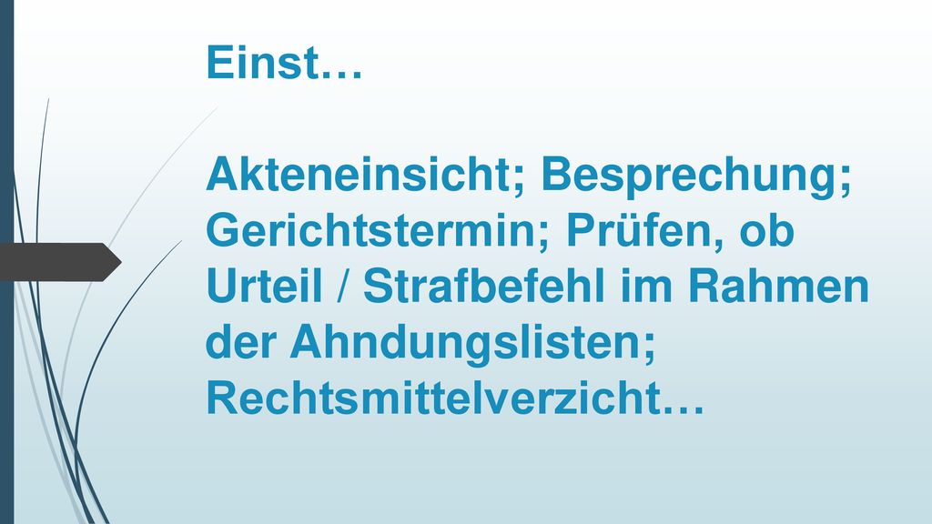 Einst… Akteneinsicht; Besprechung; Gerichtstermin; Prüfen, ob Urteil / Strafbefehl im Rahmen der Ahndungslisten; Rechtsmittelverzicht…