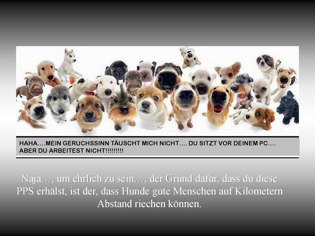 Naja…, um ehrlich zu sein…, der Grund dafür, dass du diese