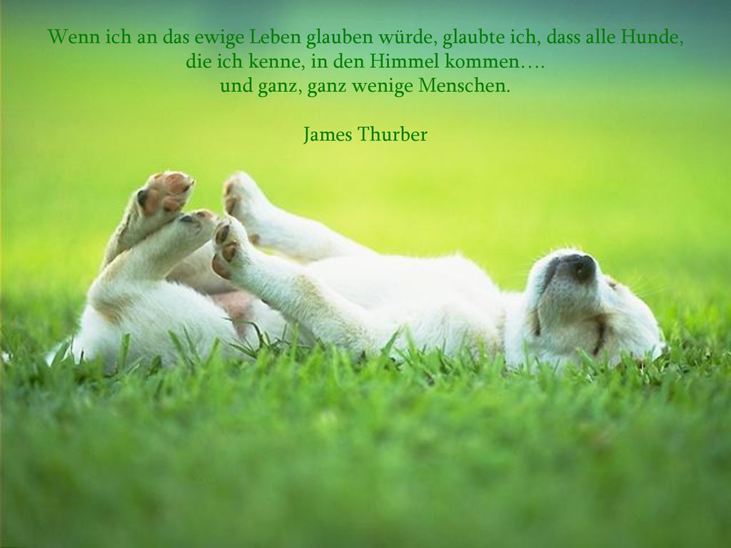 die ich kenne, in den Himmel kommen…. und ganz, ganz wenige Menschen.
