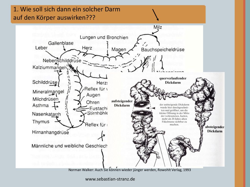 1. Wie soll sich dann ein solcher Darm auf den Körper auswirken