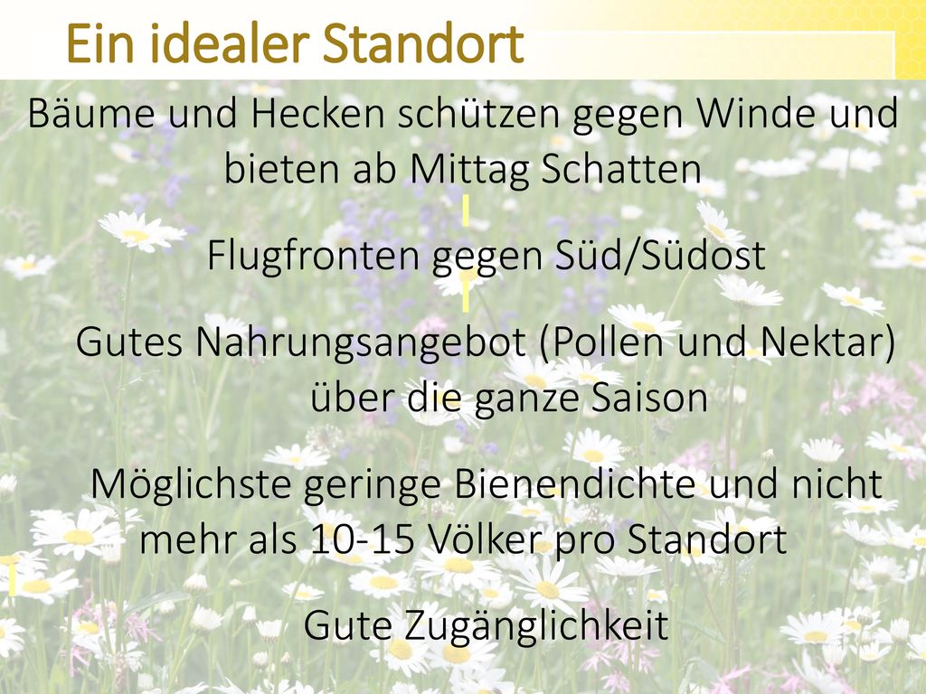 Ein idealer Standort Bäume und Hecken schützen gegen Winde und bieten ab Mittag Schatten. Flugfronten gegen Süd/Südost.