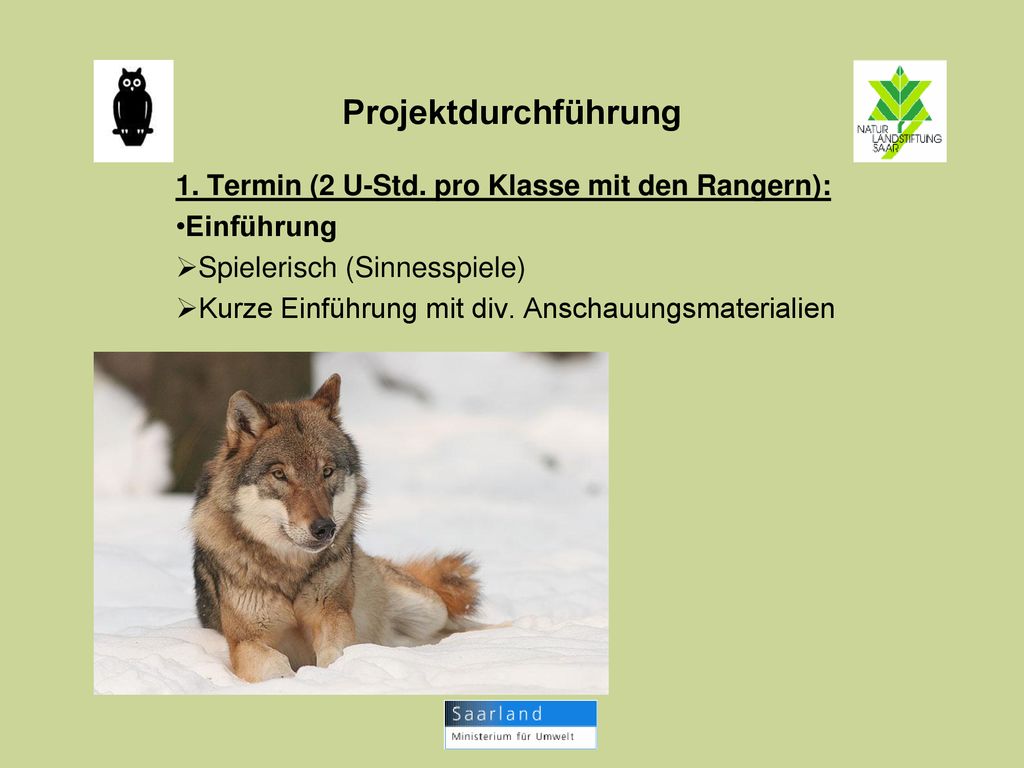 Projektdurchführung 1. Termin (2 U-Std. pro Klasse mit den Rangern):