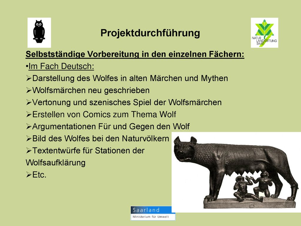 Projektdurchführung Selbstständige Vorbereitung in den einzelnen Fächern: Im Fach Deutsch: Darstellung des Wolfes in alten Märchen und Mythen.