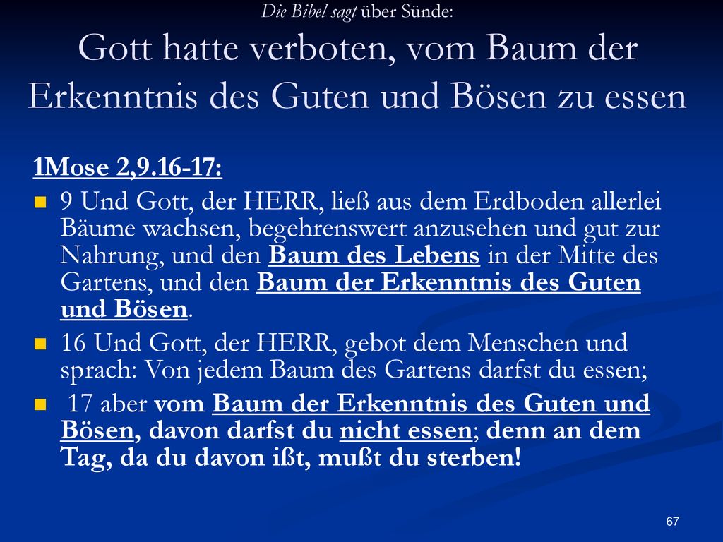 Die Bibel sagt über Sünde: Gott hatte verboten, vom Baum der Erkenntnis des Guten und Bösen zu essen