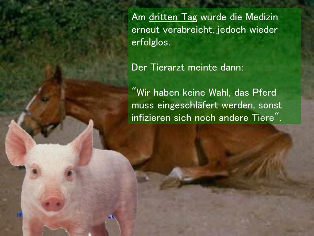 Am dritten Tag wurde die Medizin erneut verabreicht, jedoch wieder erfolglos.