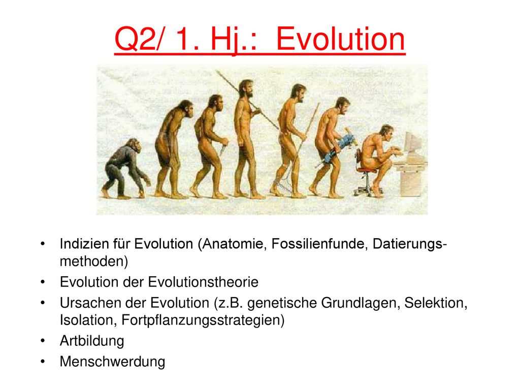 Q2/ 1. Hj.: Evolution Indizien für Evolution (Anatomie, Fossilienfunde, Datierungs-methoden) Evolution der Evolutionstheorie.