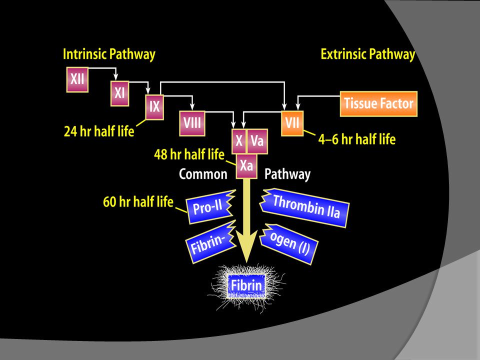 The blood coagulation process can be activated by one of two pathways, the tissue Factor pathway (formerly known as the extrinsic pathway) and the contact activation pathway (known as the intrinsic pathway).