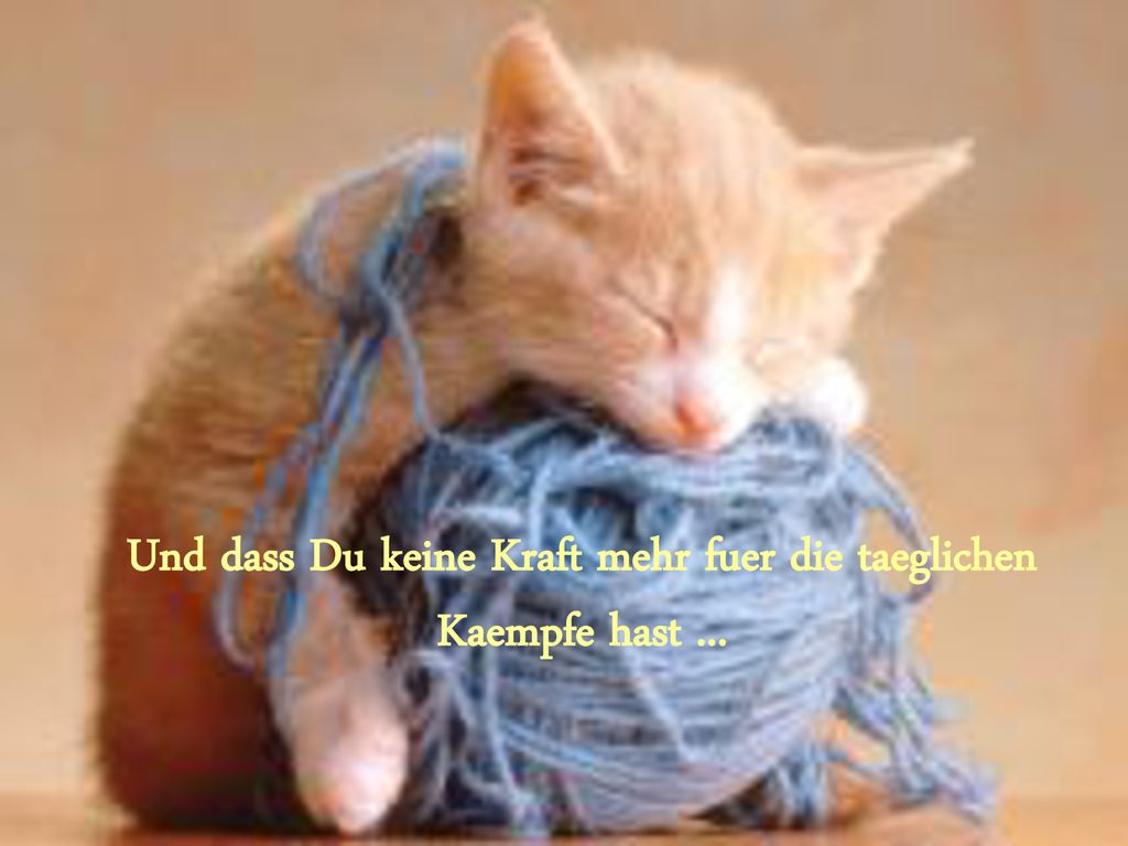 Und dass Du keine Kraft mehr fuer die taeglichen Kaempfe hast ...