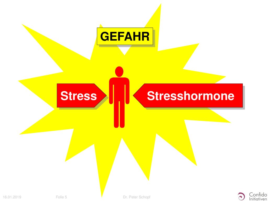 GEFAHR    Stress Stresshormone Dr. Peter Schopf