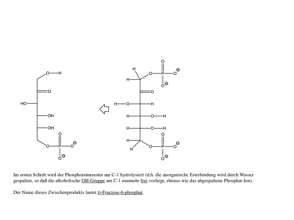 Im ersten Schritt wird der Phosphorsäureester am C-1 hydrolysiert (d.h. die anorganische Esterbindung wird durch Wasser gespalten, so daß die alkoholische OH-Gruppe am C-1 nunmehr frei vorliegt, ebenso wie das abgespaltene Phosphat-Ion).