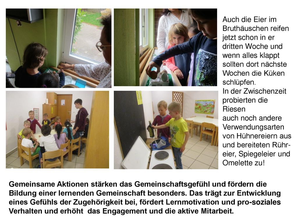 Auch die Eier im Bruthäuschen reifen jetzt schon in er dritten Woche und wenn alles klappt sollten dort nächste Wochen die Küken