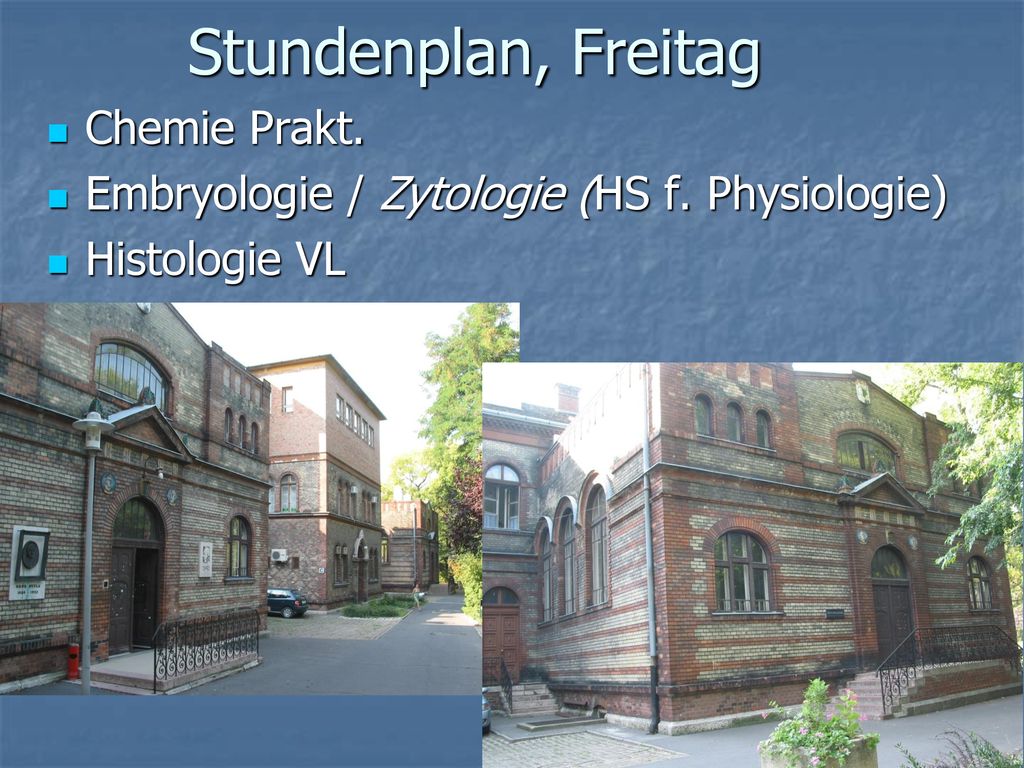 Stundenplan, Freitag Chemie Prakt.