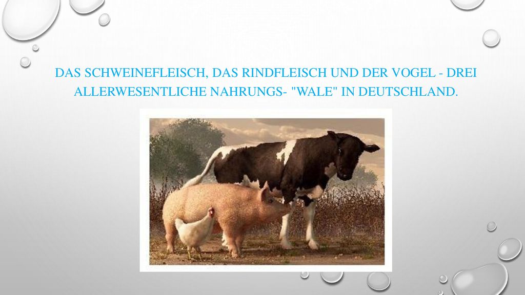 Das Schweinefleisch, das Rindfleisch und der Vogel - drei allerwesentliche Nahrungs- Wale in Deutschland.