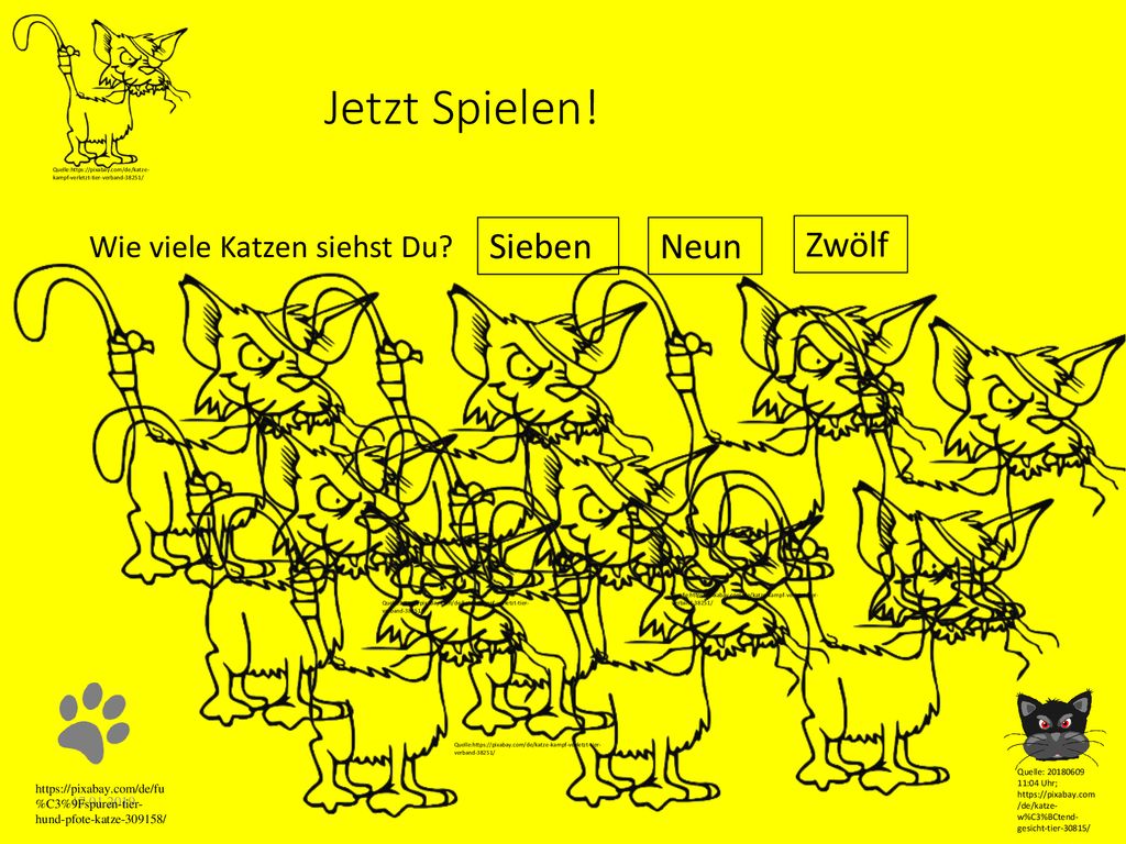 Jetzt Spielen! Sieben Neun Zwölf Wie viele Katzen siehst Du