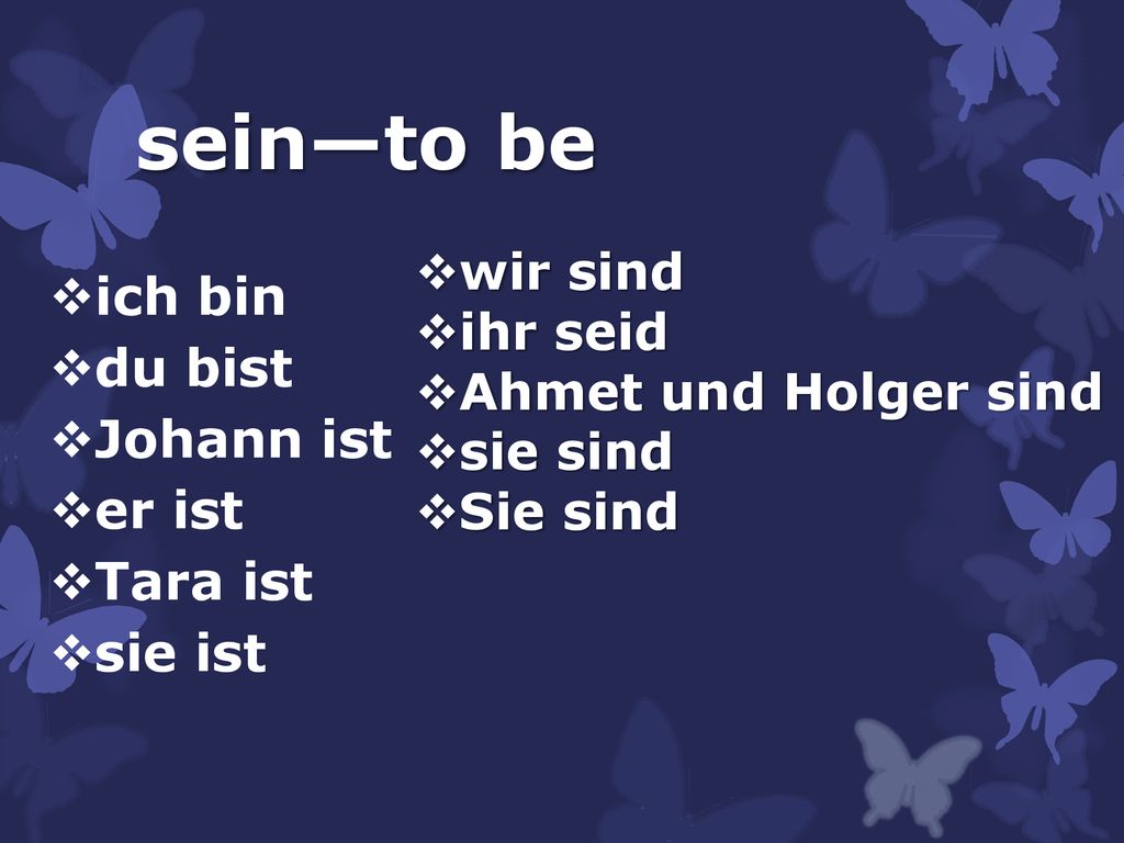 sein—to be ich bin du bist Johann ist er ist Tara ist sie ist wir sind