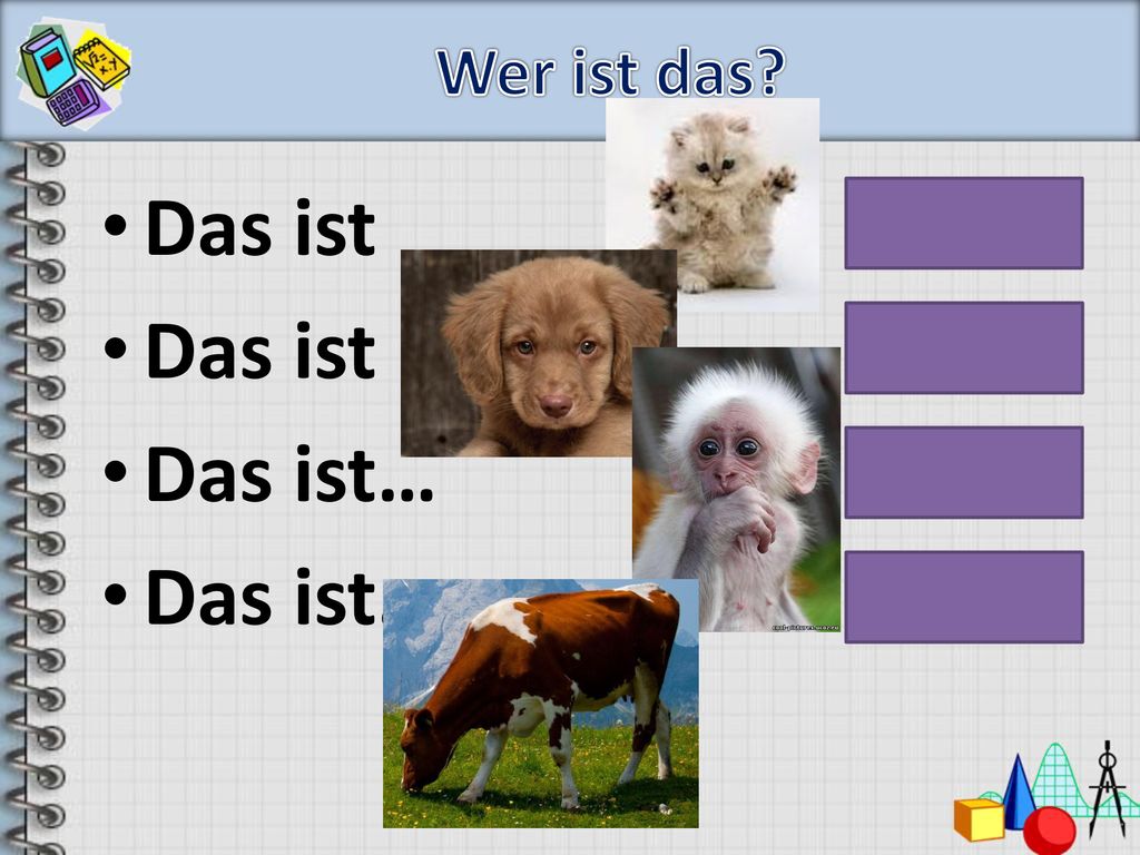 Wer ist das Das ist Katze. Das ist Hund. Das ist… Affen.