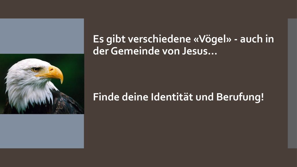 Es gibt verschiedene «Vögel» - auch in der Gemeinde von Jesus…