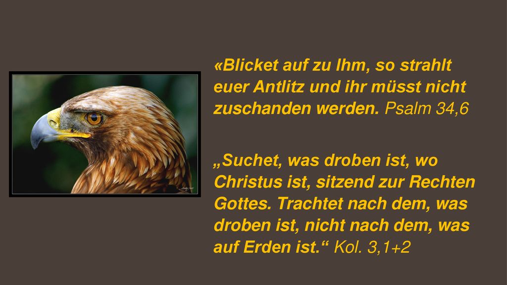 «Blicket auf zu Ihm, so strahlt euer Antlitz und ihr müsst nicht zuschanden werden. Psalm 34,6
