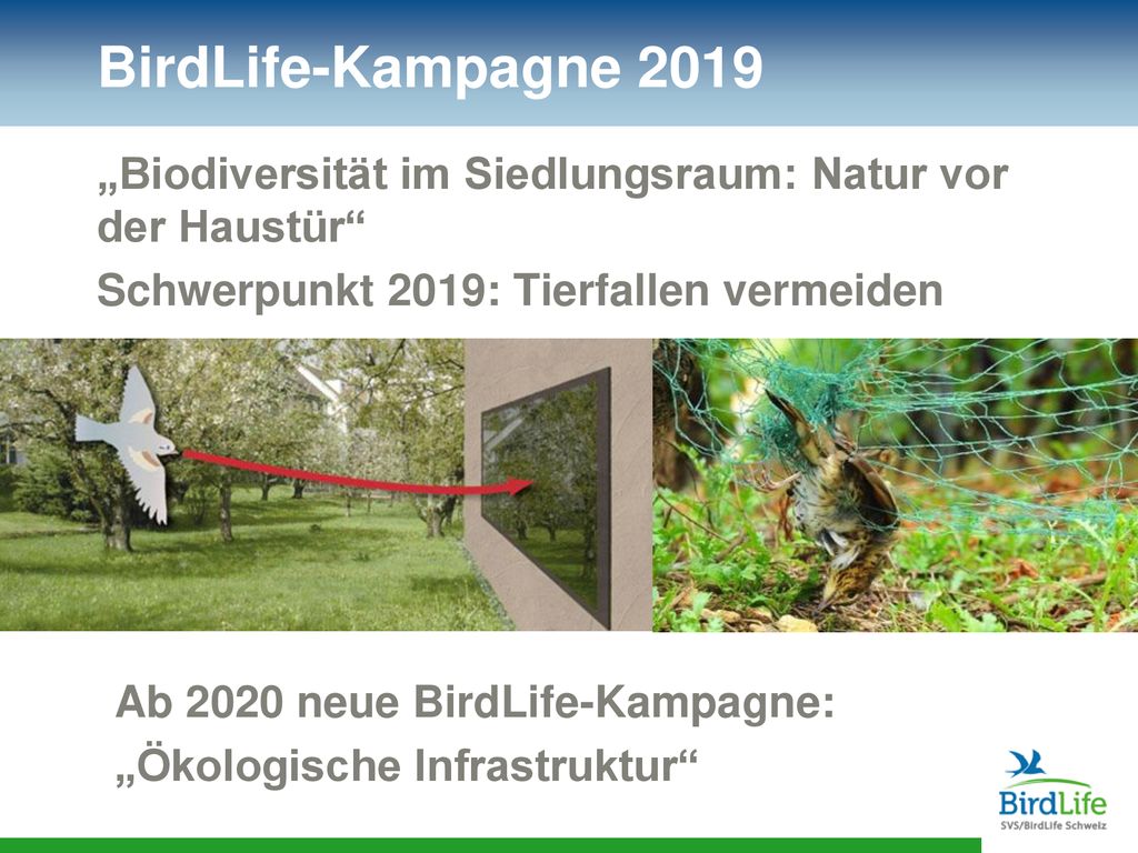 BirdLife-Kampagne 2019 „Biodiversität im Siedlungsraum: Natur vor der Haustür Schwerpunkt 2019: Tierfallen vermeiden