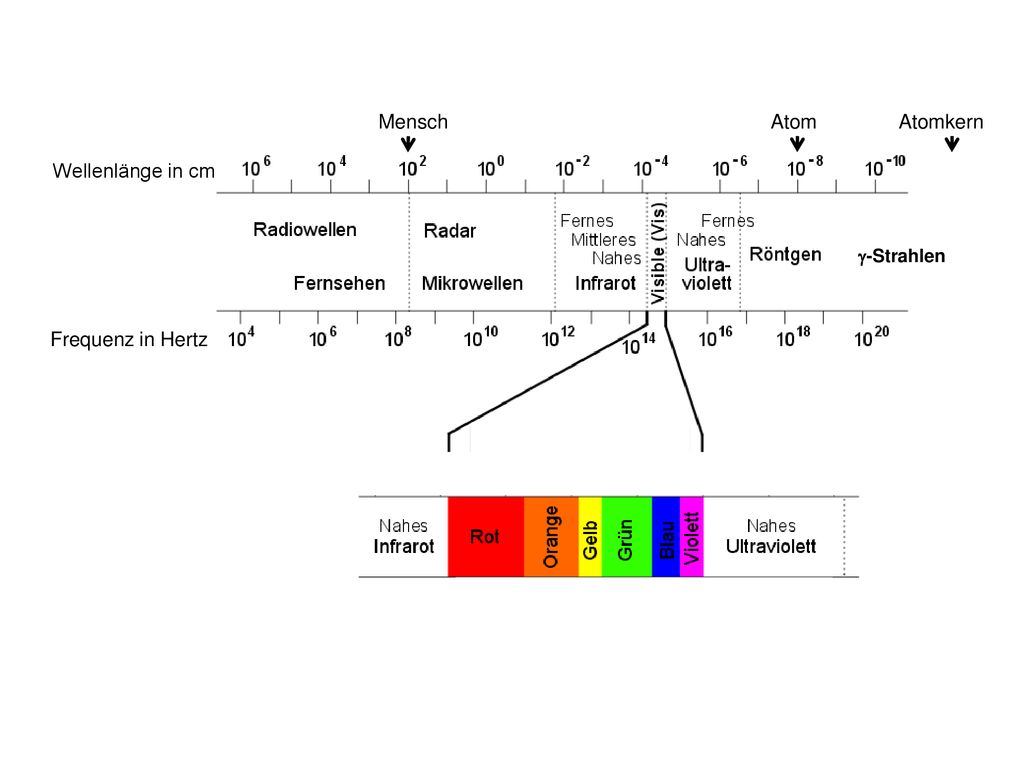 Wellenlänge in cm Frequenz in Hertz Mensch Atom g-Strahlen Atomkern