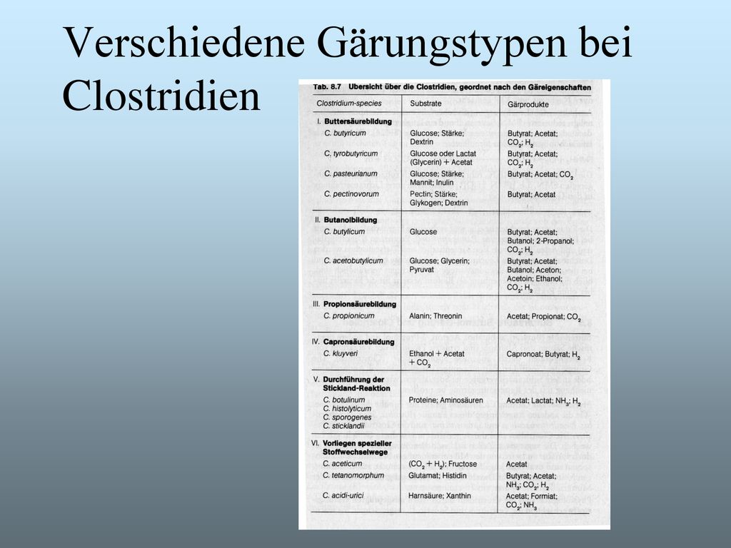 Verschiedene Gärungstypen bei Clostridien
