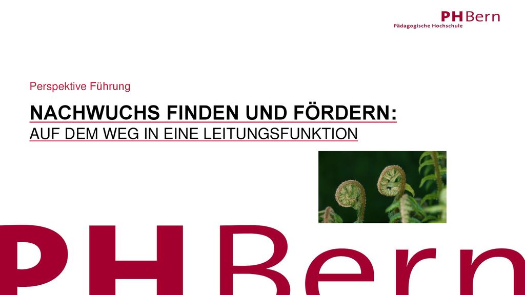 Nachwuchs finden und fördern: auf dem Weg in eine Leitungsfunktion