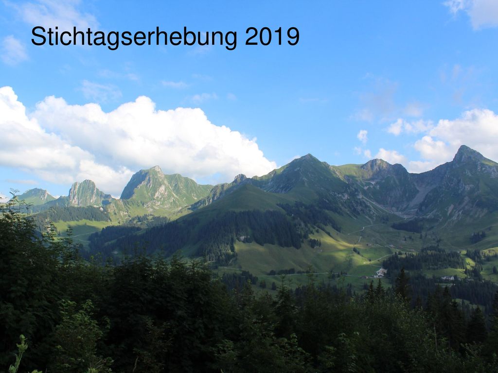Stichtagserhebung 2019