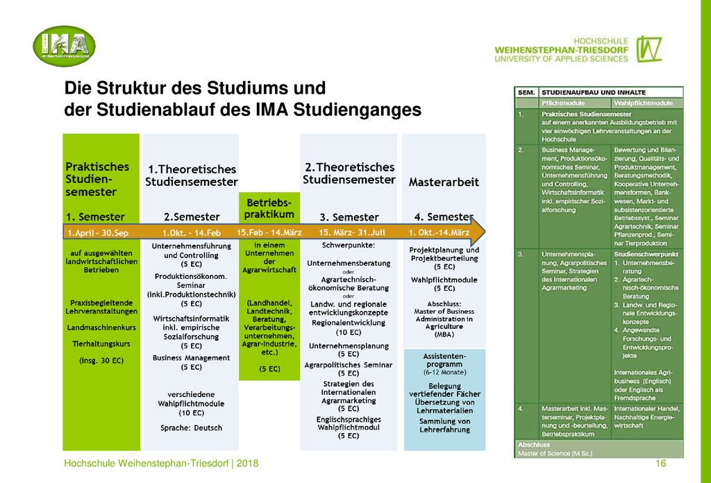 Die Struktur des Studiums und der Studienablauf des IMA Studienganges