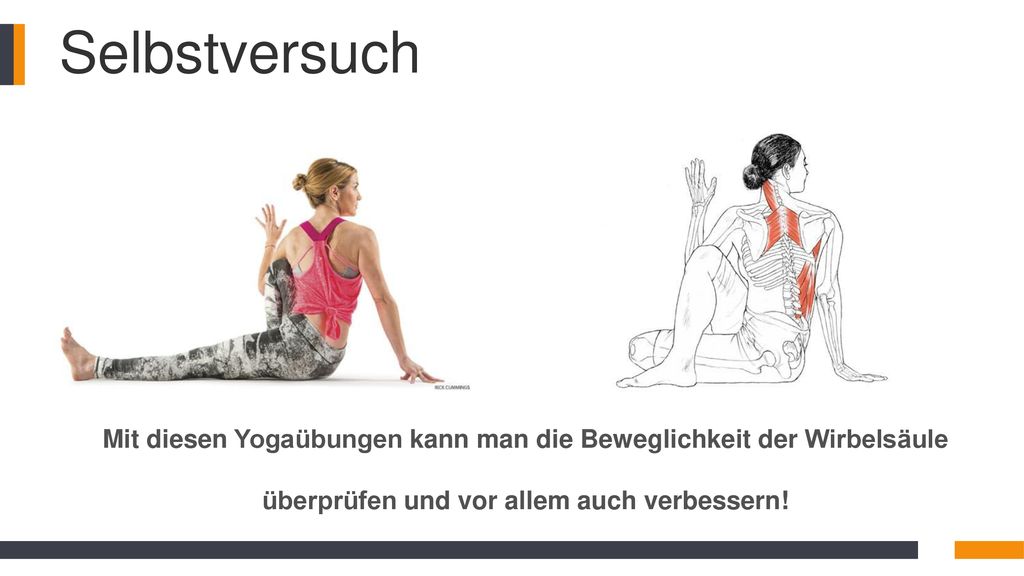 Selbstversuch Mit diesen Yogaübungen kann man die Beweglichkeit der Wirbelsäule überprüfen und vor allem auch verbessern!