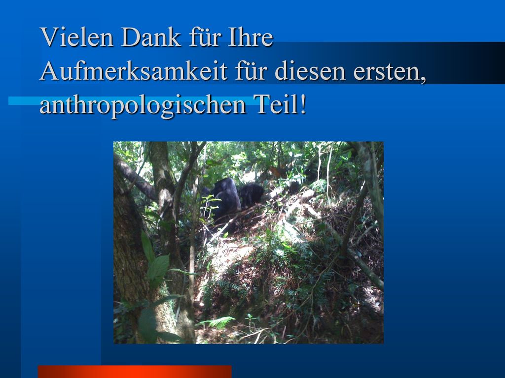 Vielen Dank für Ihre Aufmerksamkeit für diesen ersten, anthropologischen Teil!