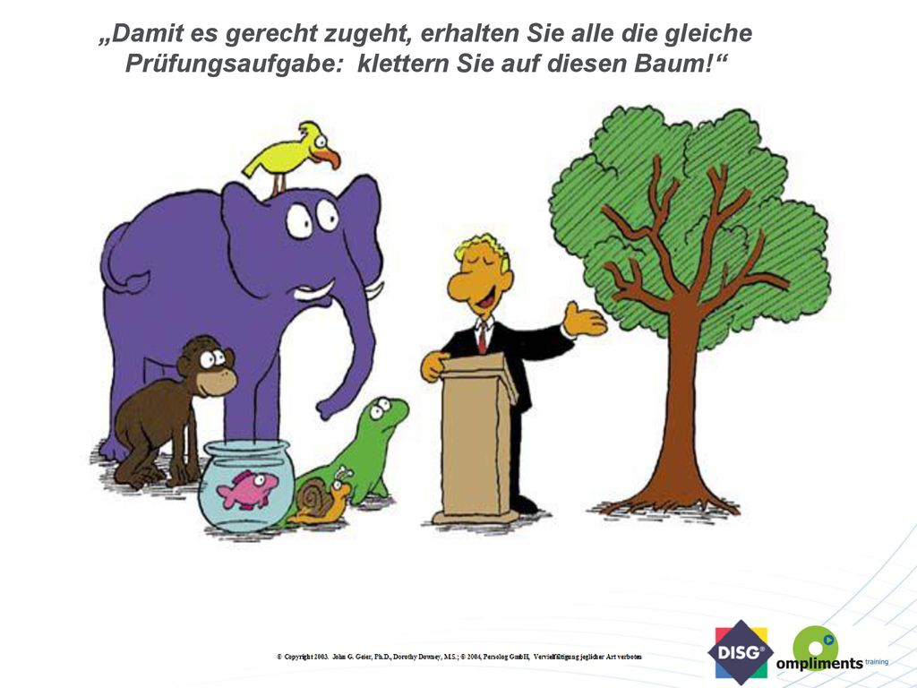 „Damit es gerecht zugeht, erhalten Sie alle die gleiche Prüfungsaufgabe: klettern Sie auf diesen Baum!