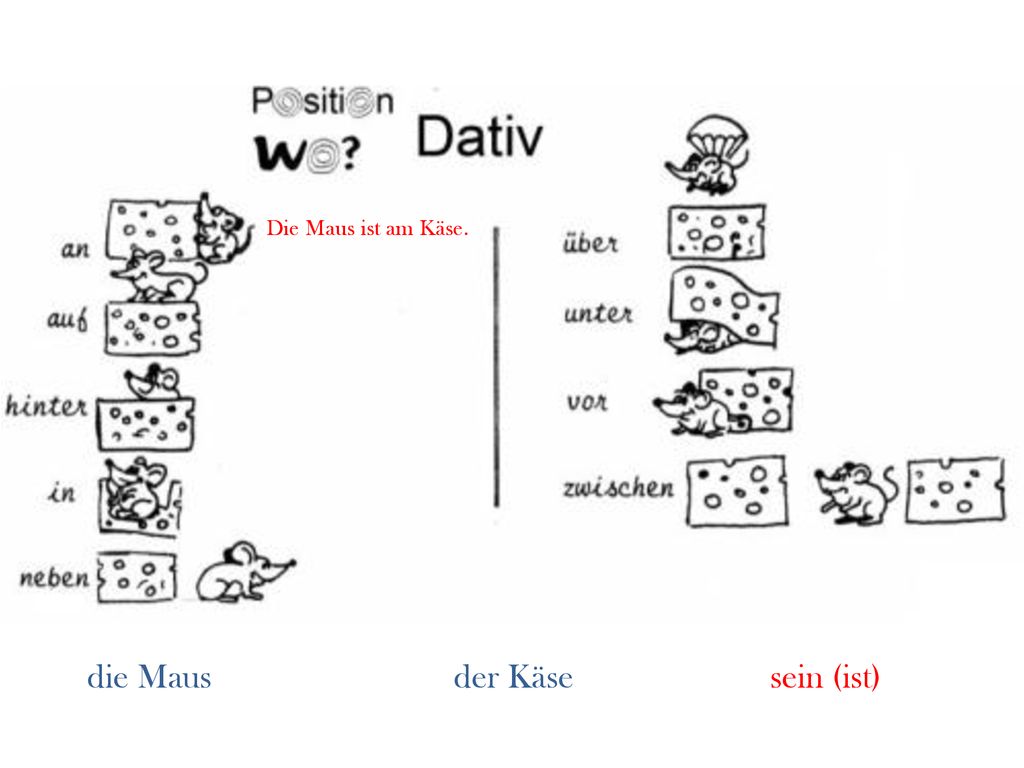 Die Maus ist am Käse. die Maus der Käse sein (ist)