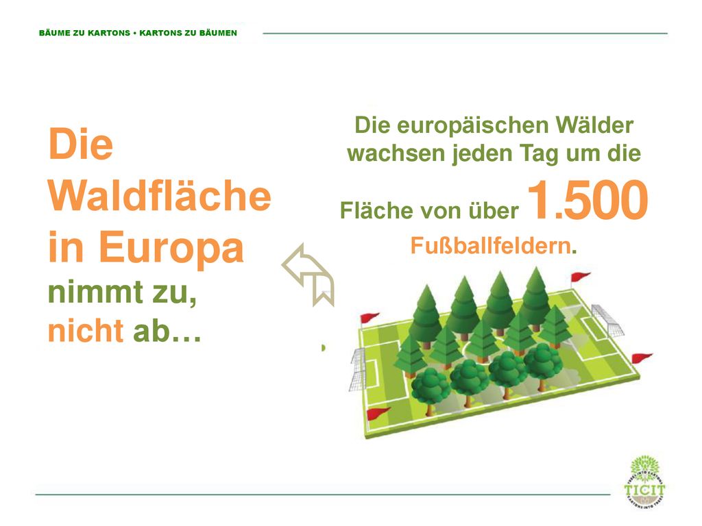 Die europäischen Wälder wachsen jeden Tag um die Fläche von über 1.500