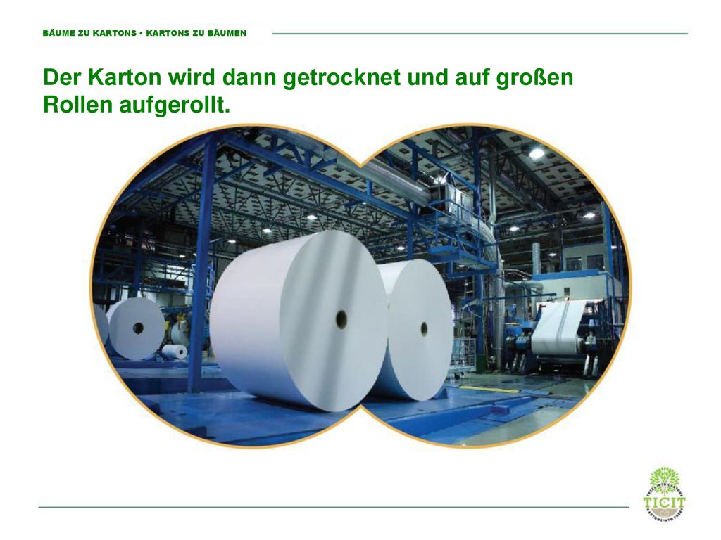 Der Karton wird dann getrocknet und auf großen Rollen aufgerollt.