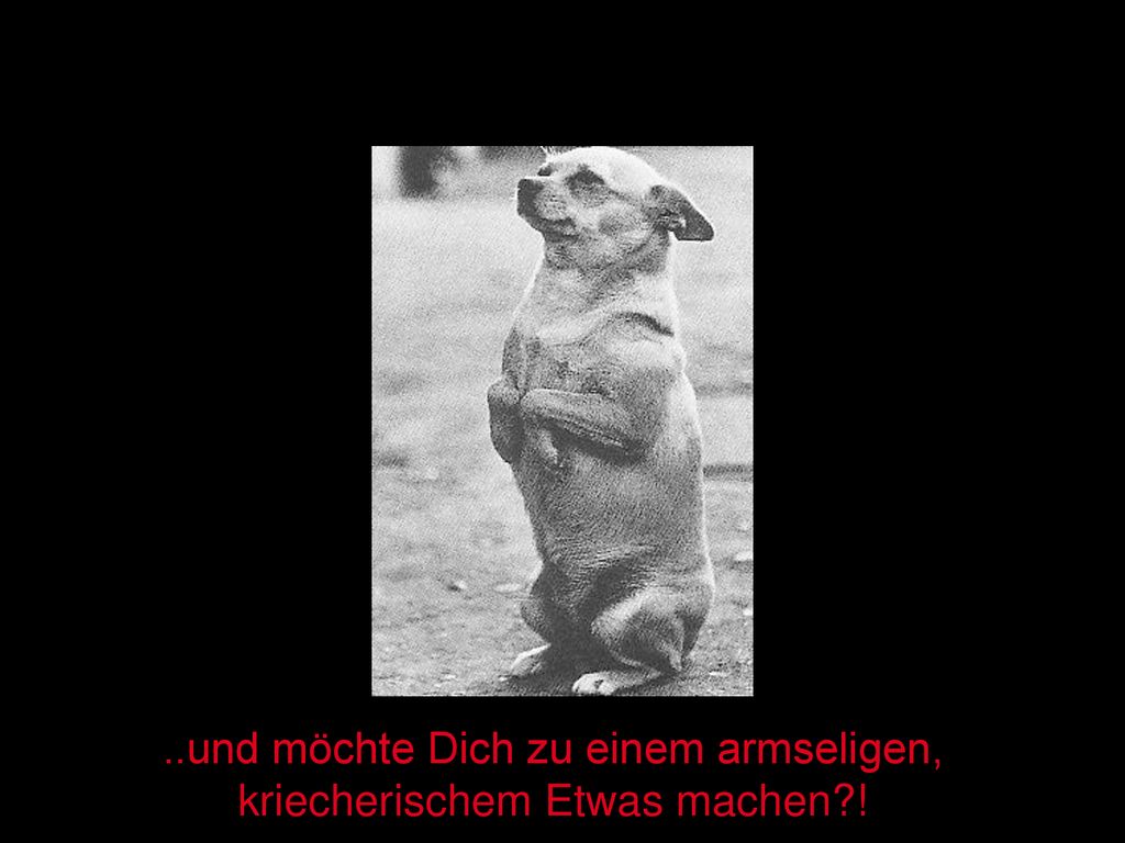 ..und möchte Dich zu einem armseligen, kriecherischem Etwas machen !
