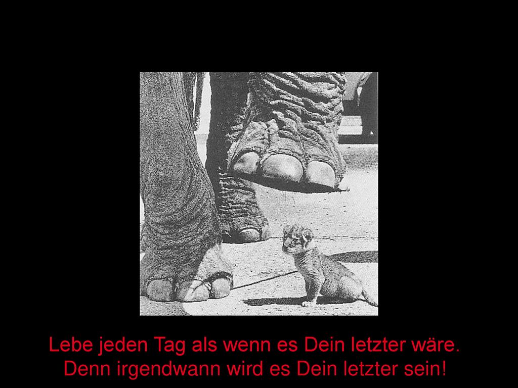 Lebe jeden Tag als wenn es Dein letzter wäre