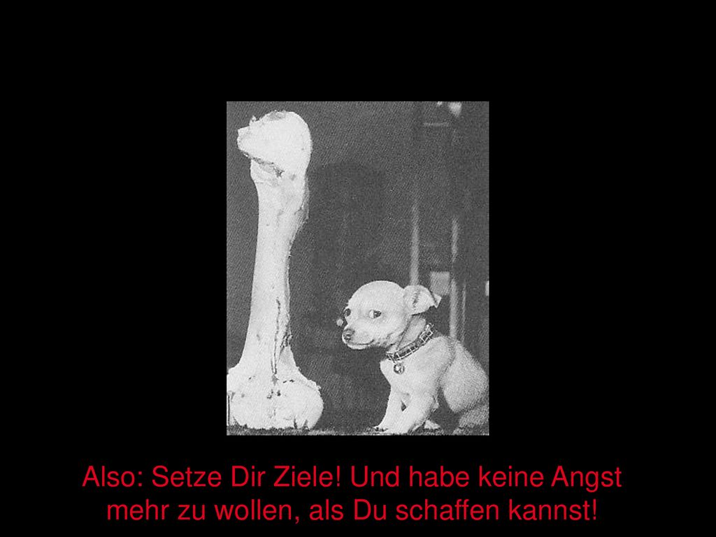 Also: Setze Dir Ziele! Und habe keine Angst mehr zu wollen, als Du schaffen kannst!