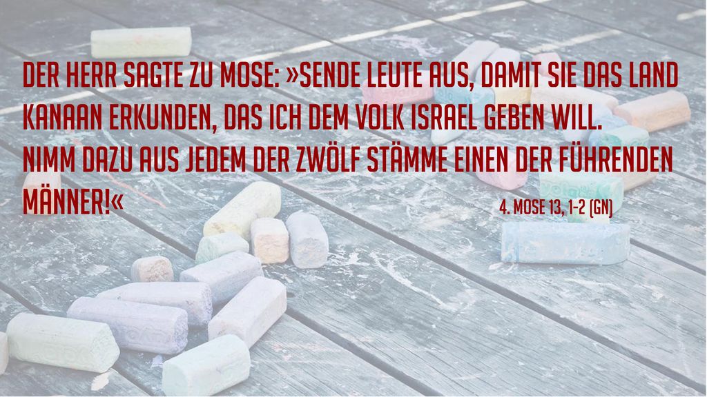 Der Herr sagte zu Mose: »Sende Leute aus, damit sie das Land Kanaan erkunden, das ich dem Volk Israel geben will.
