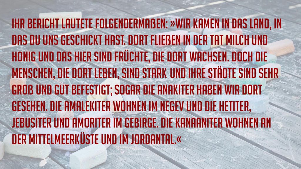 Ihr Bericht lautete folgendermaßen: »Wir kamen in das Land, in