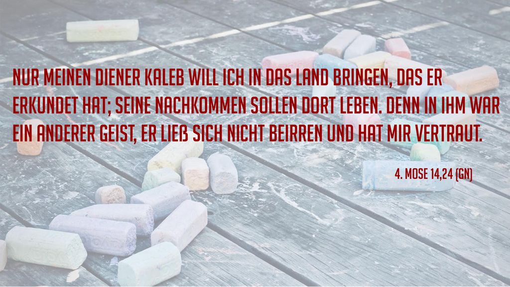 Nur meinen Diener Kaleb will ich in das Land bringen, das er erkundet hat; seine Nachkommen sollen dort leben. Denn in ihm war ein anderer Geist, er ließ sich nicht beirren und hat mir vertraut.