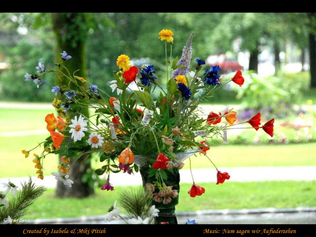 Created by Isabela & Miki Pitish Music: Num sagen wir Aufiedersehen