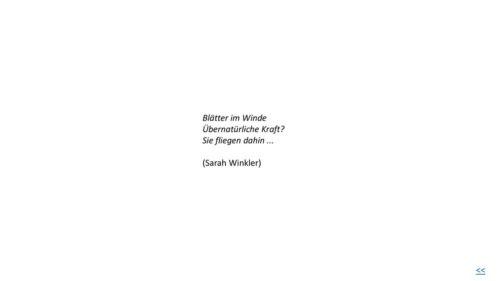 Blätter im Winde Übernatürliche Kraft Sie fliegen dahin ... (Sarah Winkler) <<
