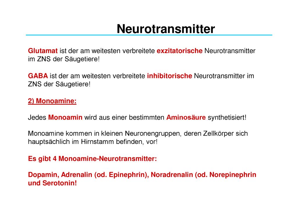 Neurotransmitter Glutamat ist der am weitesten verbreitete exzitatorische Neurotransmitter im ZNS der Säugetiere!