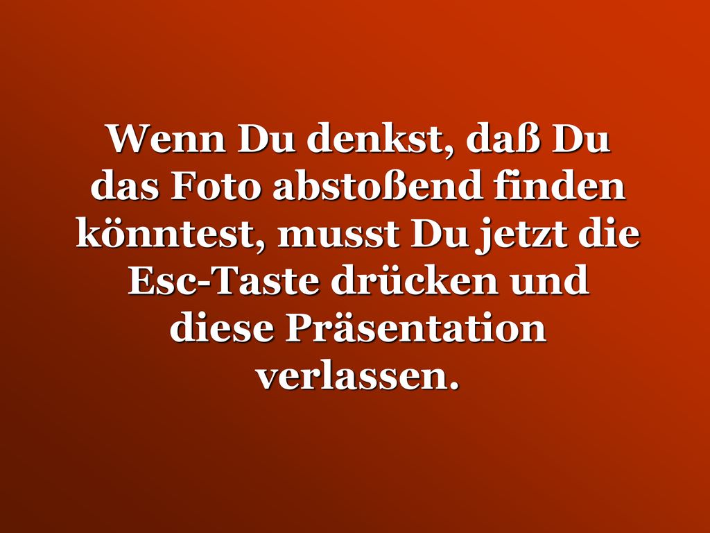 Wenn Du denkst, daß Du das Foto abstoßend finden könntest, musst Du jetzt die Esc-Taste drücken und diese Präsentation verlassen.