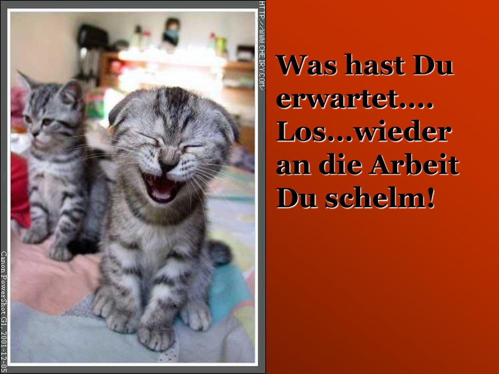 Was hast Du erwartet.... Los...wieder an die Arbeit Du schelm!