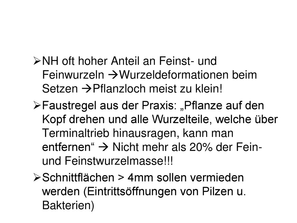 NH oft hoher Anteil an Feinst- und Feinwurzeln Wurzeldeformationen beim Setzen Pflanzloch meist zu klein!