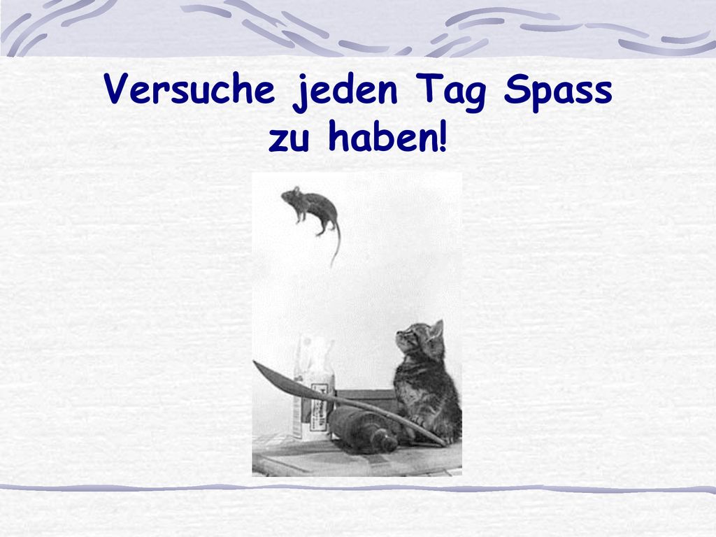 Versuche jeden Tag Spass zu haben!